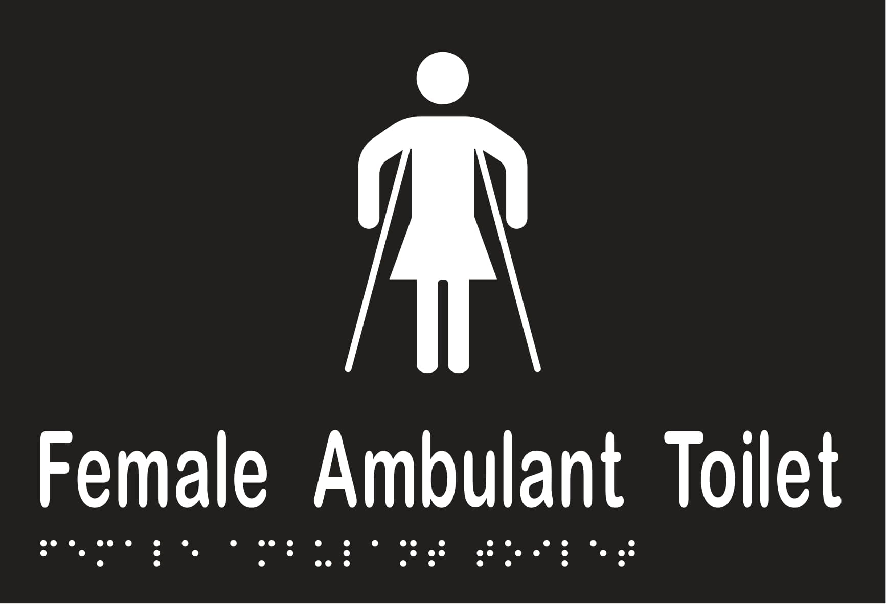 Female Ambulant Toilet Braille